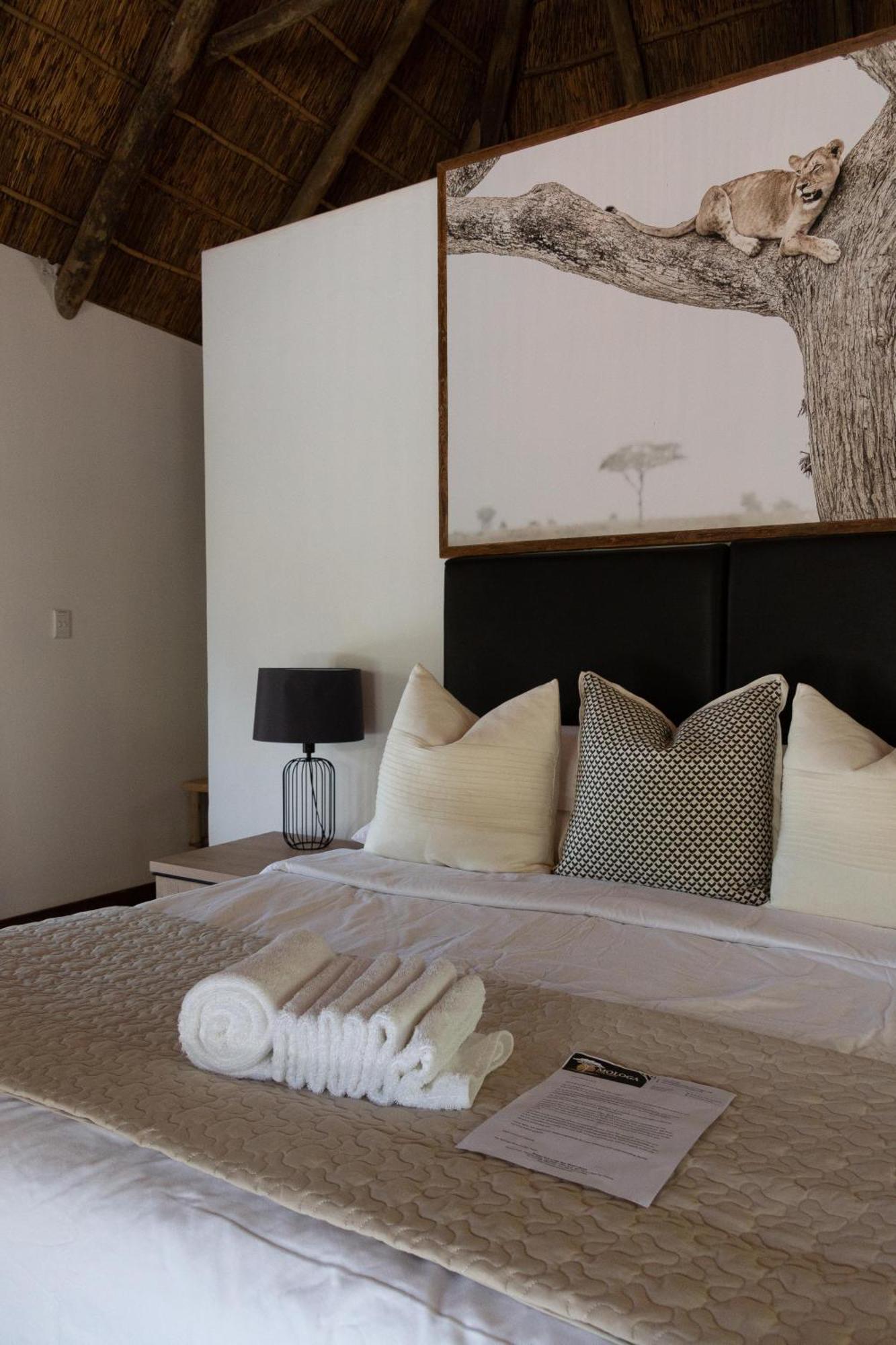 Mologa River Lodge Rust de Winter Bagian luar foto