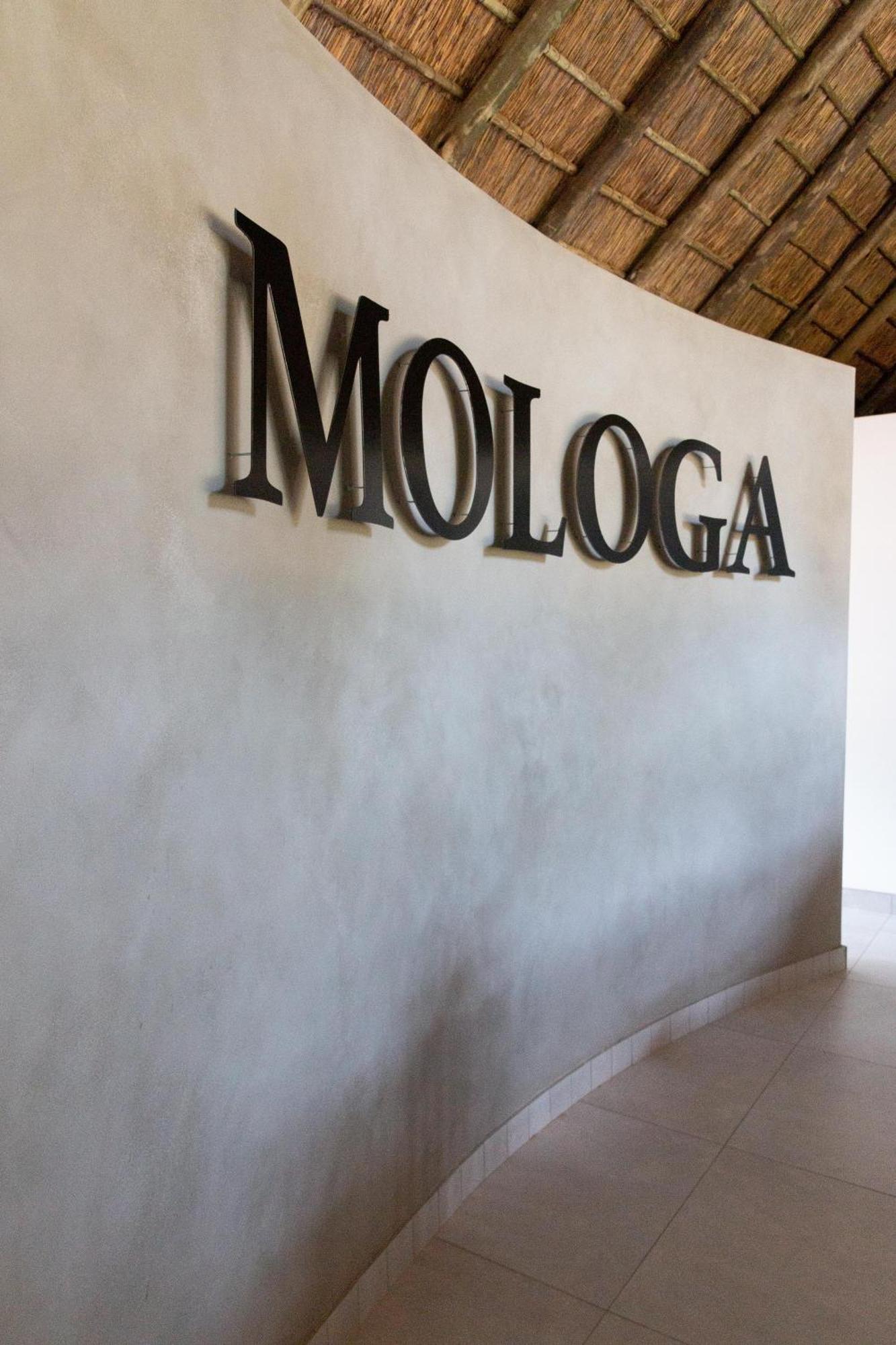 Mologa River Lodge Rust de Winter Bagian luar foto